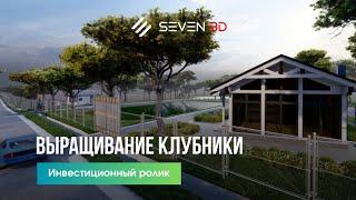 3d анимационный ролик «Выращивание клубники и малины в Кыргызстане»