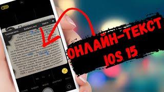 Как на iPhone с iOS 15 включить распознавание текста на фото. Онлайн-текст iOS 15!