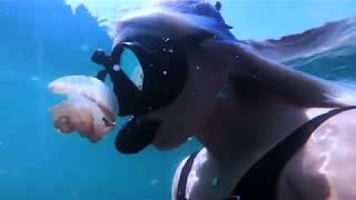 INDONESIA // Stingless Jellyfish Lake in Derawan