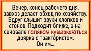 Как завхоз дояру и тракториста застукал! Сборник свежих анекдотов! Юмор!