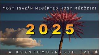 2025 a kvantumugrásod éve  - Ha így csinálod, garantált siker! -  dr  Joe Dispenza gondolatai