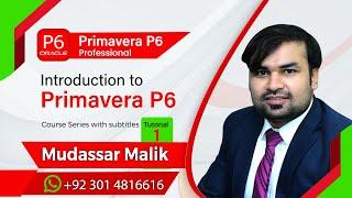 Introduction to Primavera P6 I What is Primavera P6 I Primavera Tutorials