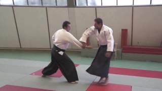 Aikido Irimi - Tenkan vs Tenkan - Irimi, Slow Motion