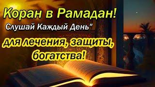  Красивый Коран на месяц Рамадан. Слушайте Каждый день от всех ваших проблем и бед