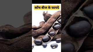  कौंच बीज के चमत्कारी फायदे : Kaunch Beej Benefits #shorts #healthfixhindi