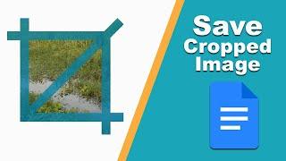 how to save cropped images in google docs