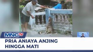 Seekor Anjing Dianiaya Pria Menggunakan Senjata Tajam  - LIS 21/12