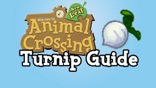 Turnip Guide :: Animal Crossing New Leaf