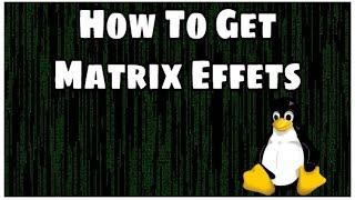 How To Get Matrix Effects In Your Kali Linux Terminal | CMATRIX