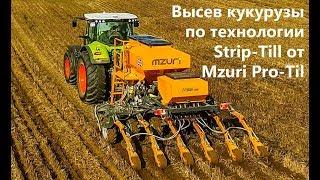 Высев кукурузы по технологии Mzuri Pro-Til