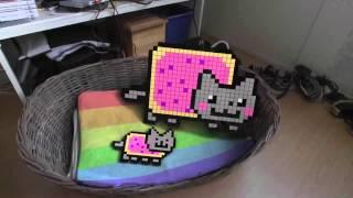 CRAZY NYAN CAT HAVING KITTENS