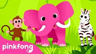 Animales, Animales | Canciones de Animales | Pinkfong Canciones Infantiles