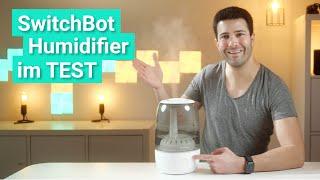 SwitchBot Humidifier im Test - Angenehmes Raumklima im Winter mit einem Luftbefeuchter!