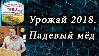 Урожай 2018. Падевый мед. Проект "Честный мёд"