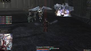 Lineage 2 - Non stop TOI 10 Trains - Angels Crying - Elmorelab Teon x1 C4