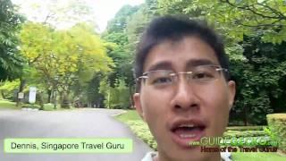 Panoramic view of interior of Singapore Botanic Gardens