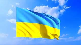 Ukraine flag waving on green screen / white background / black background / sky background