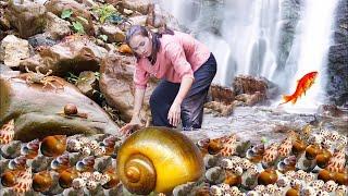 How to Catch Snails and Cook Delicious Snail Dishes at Home