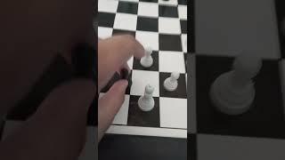 Chess 37254.14