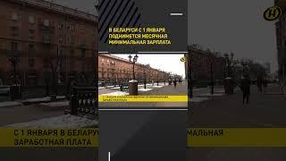 В Беларуси с 1 января поднимется месячная минимальная зарплата #shorts #short #shortvideo #новости