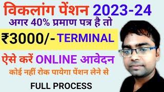 How to apply online for handicapped pension | divyang pension | Viklang pension in hindi