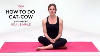 Cat Cow | Real Simple