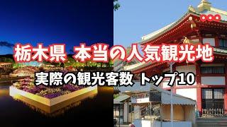 【栃木】データで見る「人気観光地TOP10」を地元民が解説！