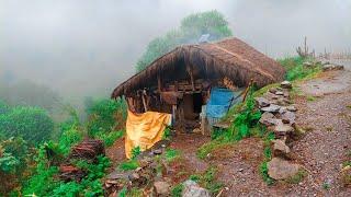 Very Relaxing Nepali Mountain Village life || Best Coplication Video of Rainy season️|| Nepal ||