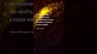 Понять жизнь - цитата Будущее в настоящем - цитаты #будущее #настоящее #прошлое #цитаты #афоризмы