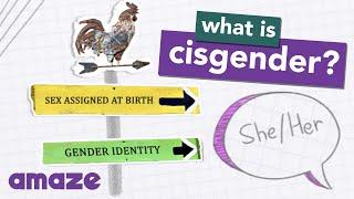 What is Cisgender? #AskAMAZE