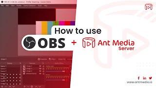 How to Use OBS with Ant Media Server?