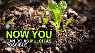 ATKC eWarehouse | What is Garden Mulch?