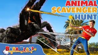 Animal Scavenger Hunt 3 | Educational Videos for Kids | Baba Blast!