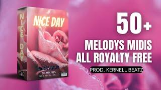 (50+) FREE [MIDI MELODY PACK] - MELODY 2022 "Nice Day"