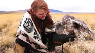 Falconry: Which species is the best first bird?