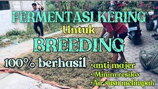 CARA MEMBUAT PAKAN FERMENTASI KERING UNTUK KAMBING DOMBA BETINA INDUKAN ANTI MAJER ‼️100% BERHASIL