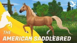 American Saddlebred  | Star Stable Horses