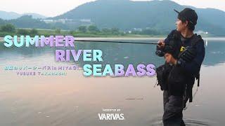 【VARIVAS】SUMMER RIVER SEABASS in MIYAGI ー 初夏のリバーシーバスin宮城 by 高橋優介 ー