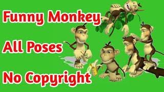 Funny MonkeyGreen Screen | Green Screen Monkey Cartoon | No Copyright green screen cartoon | Funny