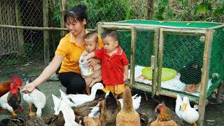 Single Mom - Harvest Taro goes to the market sell, Cook porridge for two children | Lý Thị Ngoan