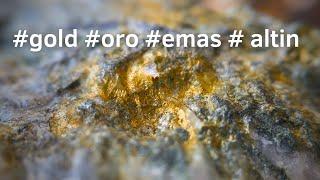 #gold #emas #goldrush #oro #altın #goldpanning #goldwaschen #gold #torstenmarx