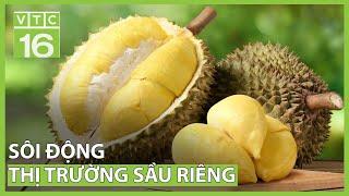 Sôi động thị trường sầu riêng | VTC16