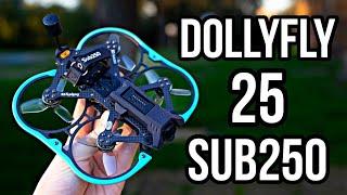 The Flattest 2.5" O3 CineWhoop! Sub250 DollyFly 25 FPV Drone Review!