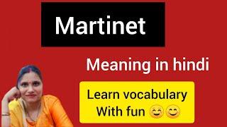 Martinet meaning in hindi || #learnvocabularywithfun