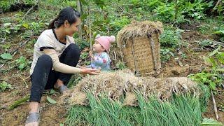 FULL VIDEO: 100 days of building a bamboo house, starting life as a single mother | build daily life