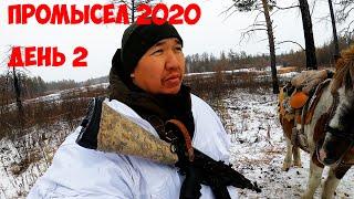 Промысел 2020/ ДЕНЬ 2 / Рейд по тайге верхом на коне