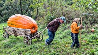 LONELY Grandma & Son in CARPATHIAN Village | Hard Mountain Life | Ancient Traditions