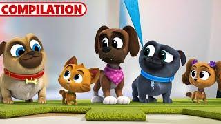 Best of Puppy Dog Pals Season 5 | 51 Minutes | Compilation | Disney Junior