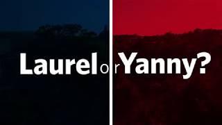 HEALTH PROFESSIONS PROFESSOR EXPLAINS "LAUREL" OR "YANNY"