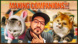 MAXING THE HOLA BUDDY COMPANIONS! | SHIBU DOG and KITTEN | FREE OUTFITS AND EMOTES! PUBG MOBILE